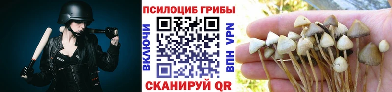Купить закладки  Екатеринбург  Галлюциногенные грибы GOLDEN TEACHER 
